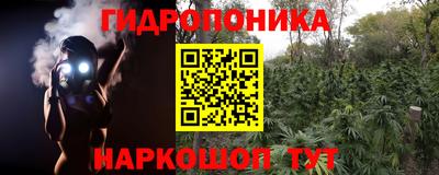 ECSTASY Гусь-Хрустальный
