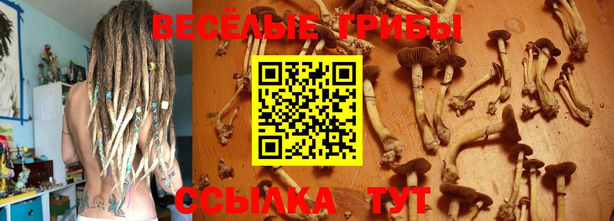 Галлюциногенные грибы GOLDEN TEACHER  Псилоцибиновые грибы Psilocybine cubensis  Вход с VPN  Нефтекамск 